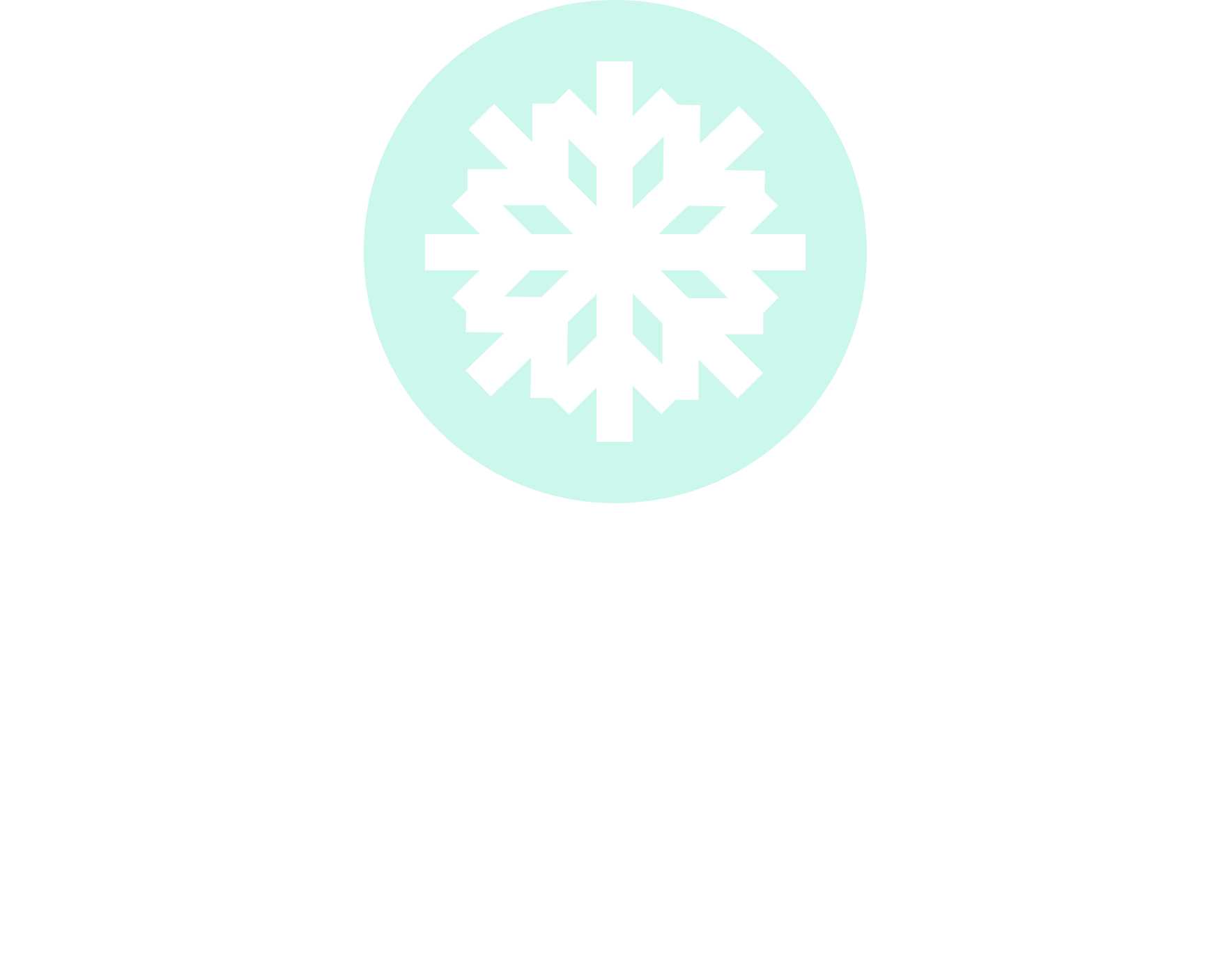 BotiStore Logo